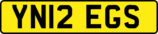 YN12EGS
