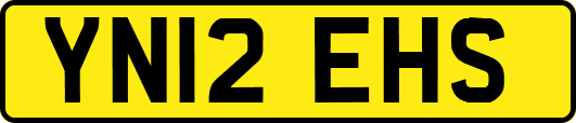 YN12EHS