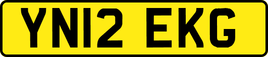 YN12EKG