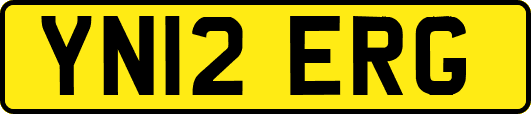 YN12ERG