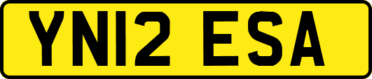 YN12ESA