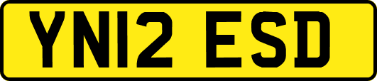 YN12ESD