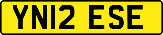 YN12ESE