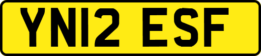 YN12ESF