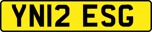 YN12ESG