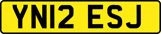 YN12ESJ