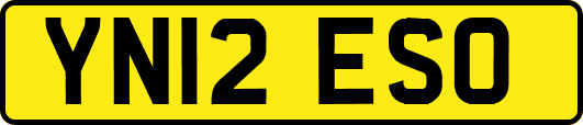 YN12ESO