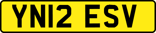 YN12ESV