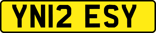 YN12ESY