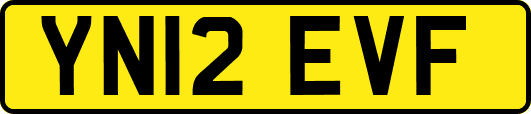 YN12EVF