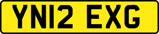YN12EXG
