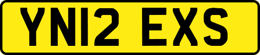 YN12EXS