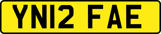 YN12FAE