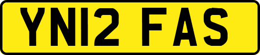 YN12FAS