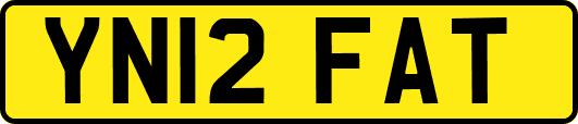 YN12FAT