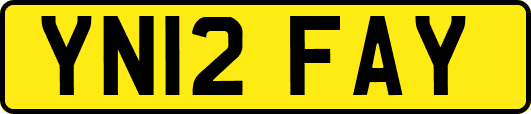 YN12FAY