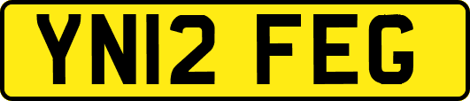YN12FEG