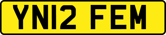 YN12FEM