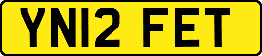 YN12FET
