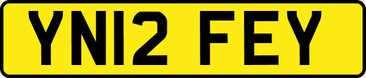 YN12FEY