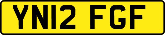 YN12FGF