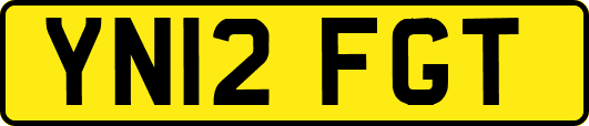 YN12FGT