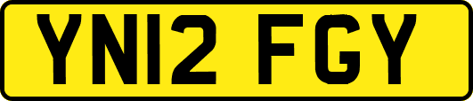 YN12FGY