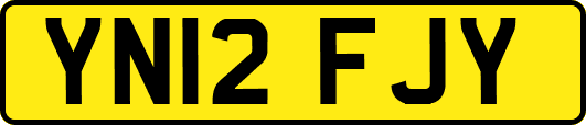 YN12FJY