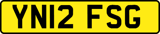 YN12FSG