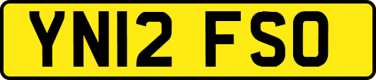 YN12FSO