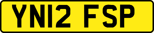 YN12FSP