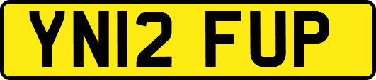 YN12FUP