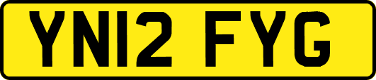 YN12FYG