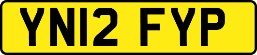 YN12FYP