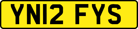 YN12FYS