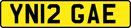 YN12GAE