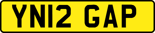 YN12GAP
