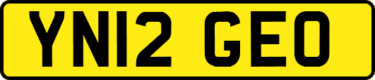 YN12GEO
