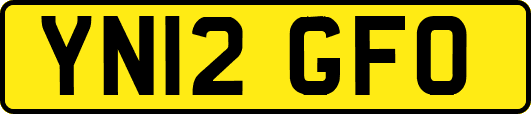 YN12GFO