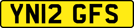 YN12GFS