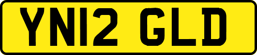YN12GLD
