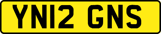 YN12GNS