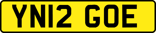 YN12GOE