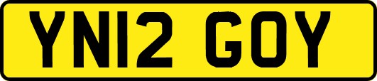 YN12GOY
