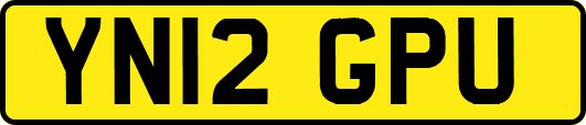 YN12GPU