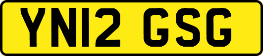 YN12GSG