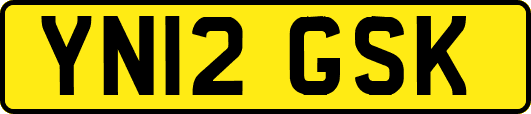 YN12GSK
