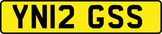 YN12GSS