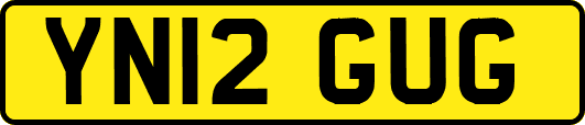 YN12GUG