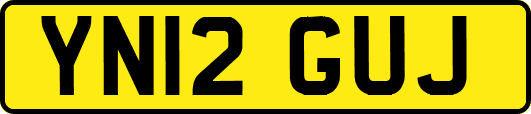 YN12GUJ